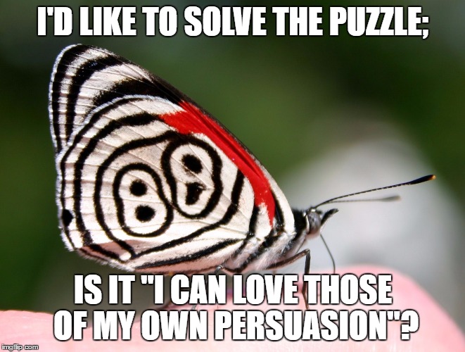Puzzle Solver Butterfly | I'D LIKE TO SOLVE THE PUZZLE; IS IT "I CAN LOVE THOSE OF MY OWN PERSUASION"? | image tagged in puzzle solver butterfly | made w/ Imgflip meme maker