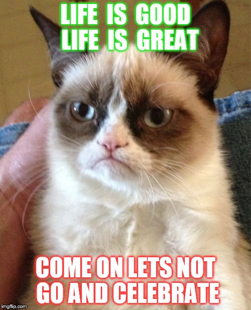 Grumpy Cat | LIFE  IS  GOOD  LIFE  IS  GREAT; COME ON LETS NOT GO AND CELEBRATE | image tagged in memes,grumpy cat | made w/ Imgflip meme maker