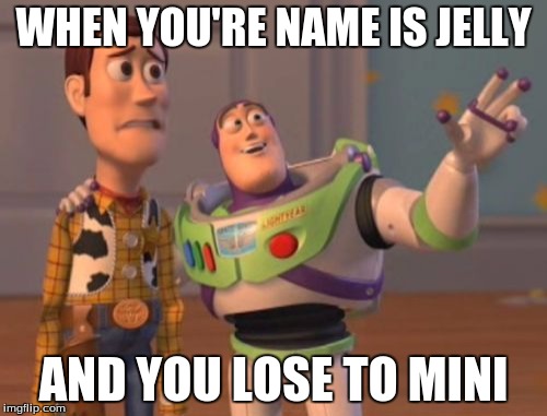 X, X Everywhere | WHEN YOU'RE NAME IS JELLY; AND YOU LOSE TO MINI | image tagged in memes,x x everywhere | made w/ Imgflip meme maker