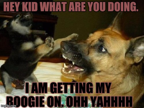 Dog dancing | HEY KID WHAT ARE YOU DOING. I AM GETTING MY BOOGIE ON. OHH YAHHHH | image tagged in dog dancing | made w/ Imgflip meme maker