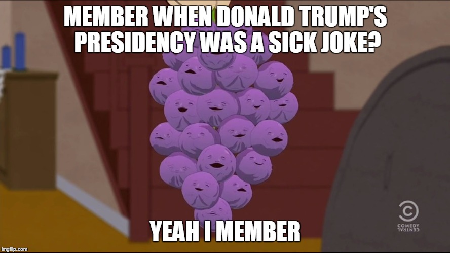 Member Berries Meme | MEMBER WHEN DONALD TRUMP'S PRESIDENCY WAS A SICK JOKE? YEAH I MEMBER | image tagged in memes,member berries | made w/ Imgflip meme maker