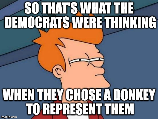 Futurama Fry Meme | SO THAT'S WHAT THE DEMOCRATS WERE THINKING WHEN THEY CHOSE A DONKEY TO REPRESENT THEM | image tagged in memes,futurama fry | made w/ Imgflip meme maker