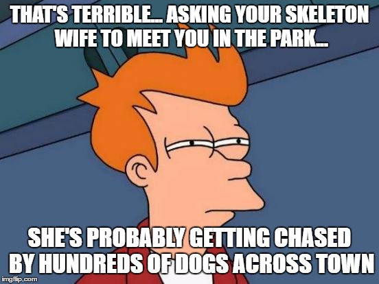 Futurama Fry Meme | THAT'S TERRIBLE... ASKING YOUR SKELETON WIFE TO MEET YOU IN THE PARK... SHE'S PROBABLY GETTING CHASED BY HUNDREDS OF DOGS ACROSS TOWN | image tagged in memes,futurama fry | made w/ Imgflip meme maker