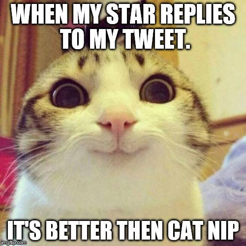 Smiling Cat | WHEN MY STAR REPLIES TO MY TWEET. IT'S BETTER THEN CAT NIP | image tagged in memes,smiling cat | made w/ Imgflip meme maker