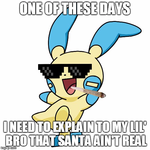 Deal With It Minun | ONE OF THESE DAYS I NEED TO EXPLAIN TO MY LIL' BRO THAT SANTA AIN'T REAL | image tagged in deal with it minun | made w/ Imgflip meme maker