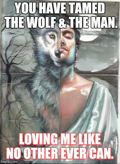 Half man half wolf | YOU HAVE TAMED THE WOLF & THE MAN. LOVING ME LIKE NO OTHER EVER CAN. | image tagged in half man half wolf | made w/ Imgflip meme maker