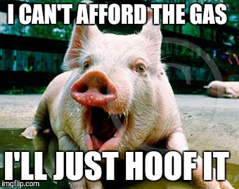 I CAN'T AFFORD THE GAS I'LL JUST HOOF IT | made w/ Imgflip meme maker