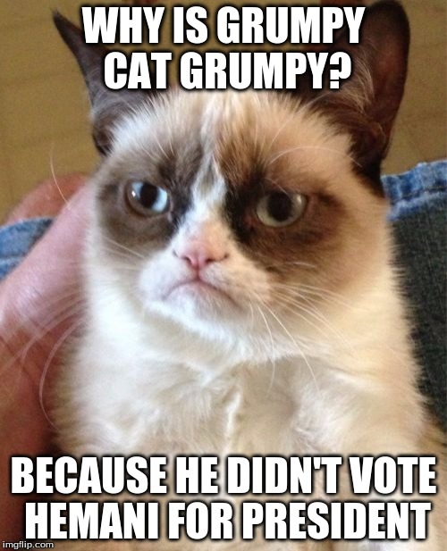 Grumpy Cat Meme | WHY IS GRUMPY CAT GRUMPY? BECAUSE HE DIDN'T VOTE HEMANI FOR PRESIDENT | image tagged in memes,grumpy cat | made w/ Imgflip meme maker