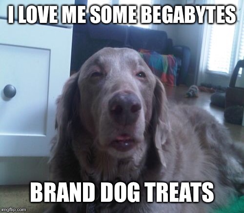 I LOVE ME SOME BEGABYTES BRAND DOG TREATS | made w/ Imgflip meme maker