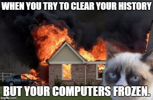 Burn Kitty | WHEN YOU TRY TO CLEAR YOUR HISTORY; BUT YOUR COMPUTERS FROZEN. | image tagged in memes,burn kitty,grumpy cat | made w/ Imgflip meme maker