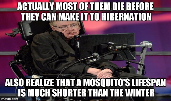 ACTUALLY MOST OF THEM DIE BEFORE THEY CAN MAKE IT TO HIBERNATION ALSO REALIZE THAT A MOSQUITO'S LIFESPAN IS MUCH SHORTER THAN THE WINTER | made w/ Imgflip meme maker