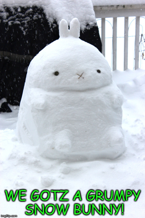 Snow | WE GOTZ A GRUMPY SNOW BUNNY! | image tagged in memes | made w/ Imgflip meme maker