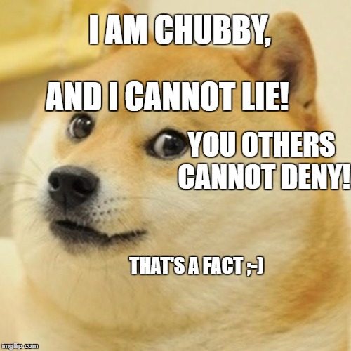 Doge Meme | I AM CHUBBY, AND I CANNOT LIE! YOU OTHERS CANNOT DENY! THAT'S A FACT ;-) | image tagged in memes,doge | made w/ Imgflip meme maker