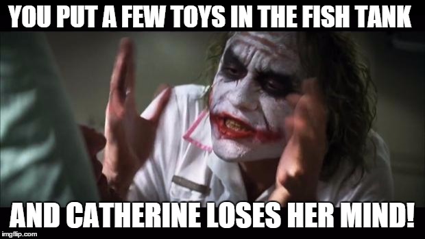 And everybody loses their minds | YOU PUT A FEW TOYS IN THE FISH TANK; AND CATHERINE LOSES HER MIND! | image tagged in memes,and everybody loses their minds | made w/ Imgflip meme maker