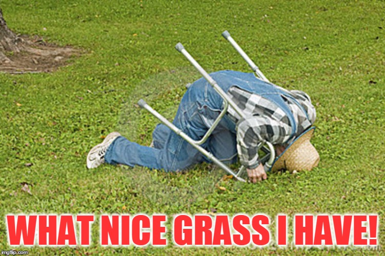 WHAT NICE GRASS I HAVE! | made w/ Imgflip meme maker