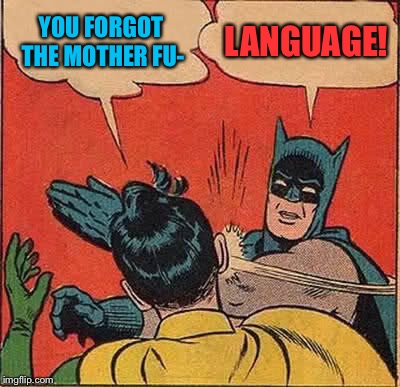 Batman Slapping Robin Meme | YOU FORGOT THE MOTHER FU- LANGUAGE! | image tagged in memes,batman slapping robin | made w/ Imgflip meme maker