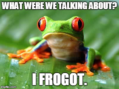WHAT WERE WE TALKING ABOUT? I FROGOT. | image tagged in i frogot,frog,sad,forgot,memory,funny meme | made w/ Imgflip meme maker