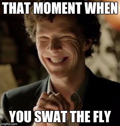 Sherlock Fly | THAT MOMENT WHEN; YOU SWAT THE FLY | image tagged in sherlock,fly | made w/ Imgflip meme maker