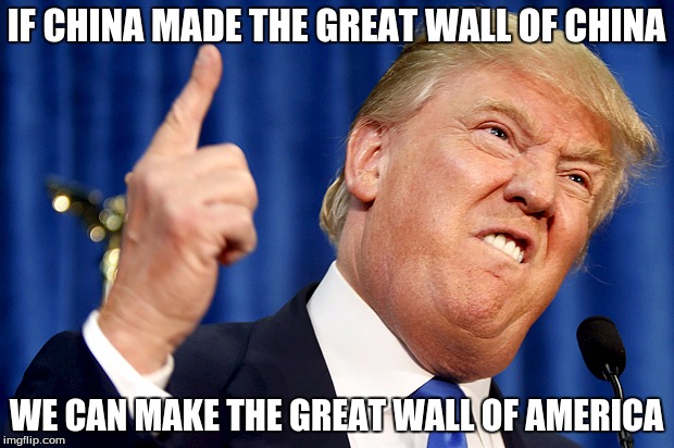 Donald Trump | IF CHINA MADE THE GREAT WALL OF CHINA; WE CAN MAKE THE GREAT WALL OF AMERICA | image tagged in donald trump | made w/ Imgflip meme maker