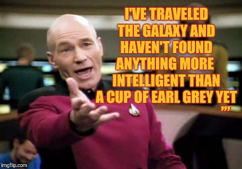 Picard Wtf Meme | I'VE TRAVELED THE GALAXY AND   HAVEN'T FOUND    ANYTHING MORE   INTELLIGENT THAN A CUP OF EARL GREY YET; ,,, | image tagged in memes,picard wtf | made w/ Imgflip meme maker