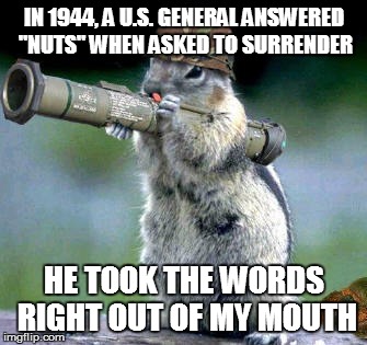 Bazooka Squirrel | IN 1944, A U.S. GENERAL ANSWERED "NUTS" WHEN ASKED TO SURRENDER; HE TOOK THE WORDS RIGHT OUT OF MY MOUTH | image tagged in memes,bazooka squirrel | made w/ Imgflip meme maker