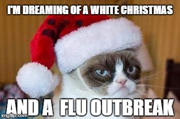 Christmas Grumpy Cat | I'M DREAMING OF A WHITE CHRISTMAS; AND A  FLU OUTBREAK | image tagged in christmas grumpy cat | made w/ Imgflip meme maker