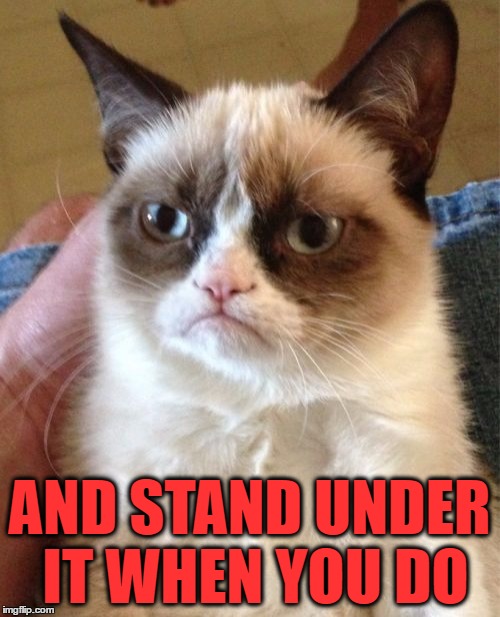 Grumpy Cat Meme | AND STAND UNDER IT WHEN YOU DO | image tagged in memes,grumpy cat | made w/ Imgflip meme maker