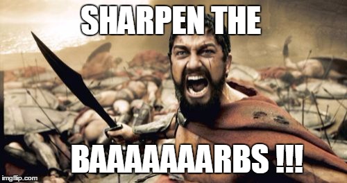 Sparta Leonidas Meme | SHARPEN THE BAAAAAAARBS !!! | image tagged in memes,sparta leonidas | made w/ Imgflip meme maker