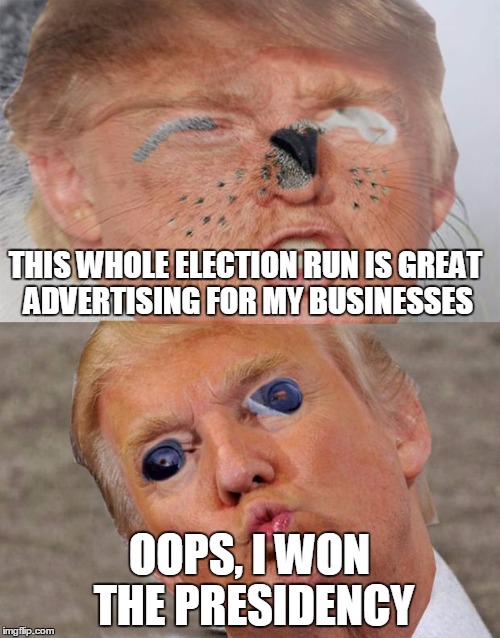 tssvt | THIS WHOLE ELECTION RUN IS GREAT ADVERTISING FOR MY BUSINESSES OOPS, I WON THE PRESIDENCY | image tagged in tssvt | made w/ Imgflip meme maker