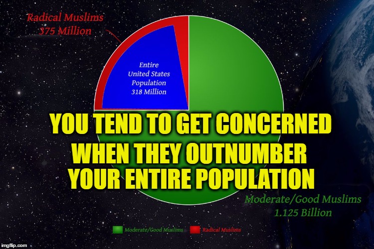 YOU TEND TO GET CONCERNED; WHEN THEY OUTNUMBER YOUR ENTIRE POPULATION | image tagged in radical islam population | made w/ Imgflip meme maker