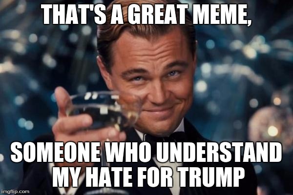 Leonardo Dicaprio Cheers Meme | THAT'S A GREAT MEME, SOMEONE WHO UNDERSTAND MY HATE FOR TRUMP | image tagged in memes,leonardo dicaprio cheers | made w/ Imgflip meme maker