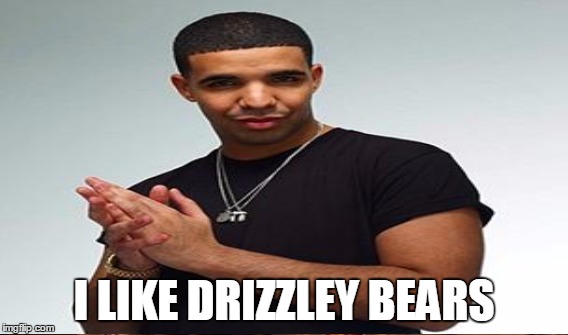 I LIKE DRIZZLEY BEARS | made w/ Imgflip meme maker