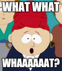 WHAT WHAT; WHAAAAAAT? | image tagged in what what whaaat | made w/ Imgflip meme maker