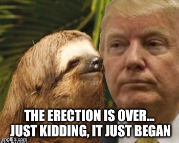 Political advice sloth | THE ERECTION IS OVER... JUST KIDDING, IT JUST BEGAN | image tagged in political advice sloth | made w/ Imgflip meme maker