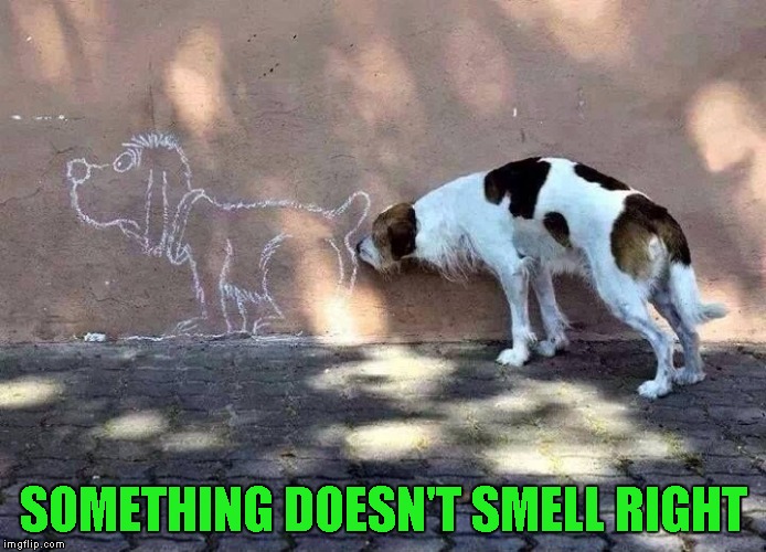 SOMETHING DOESN'T SMELL RIGHT | made w/ Imgflip meme maker