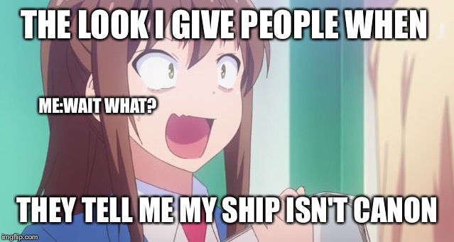 My. Ship. Is. Canon.  | THE LOOK I GIVE PEOPLE WHEN; ME:WAIT WHAT? THEY TELL ME MY SHIP ISN'T CANON | image tagged in ships,animes | made w/ Imgflip meme maker