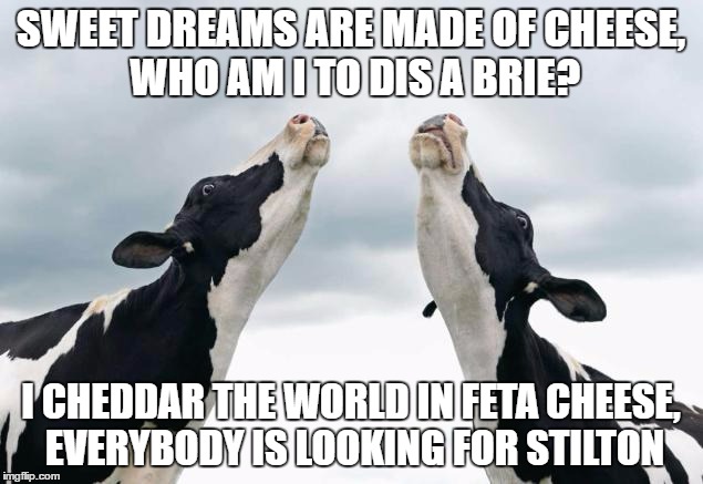 Ever wonder what a cow's favorite song was? | SWEET DREAMS ARE MADE OF CHEESE, WHO AM I TO DIS A BRIE? I CHEDDAR THE WORLD IN FETA CHEESE, EVERYBODY IS LOOKING FOR STILTON | image tagged in singing cows | made w/ Imgflip meme maker