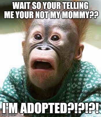Monkey | WAIT SO YOUR TELLING ME YOUR NOT MY MOMMY?? I'M ADOPTED?!?!?! | image tagged in monkey | made w/ Imgflip meme maker