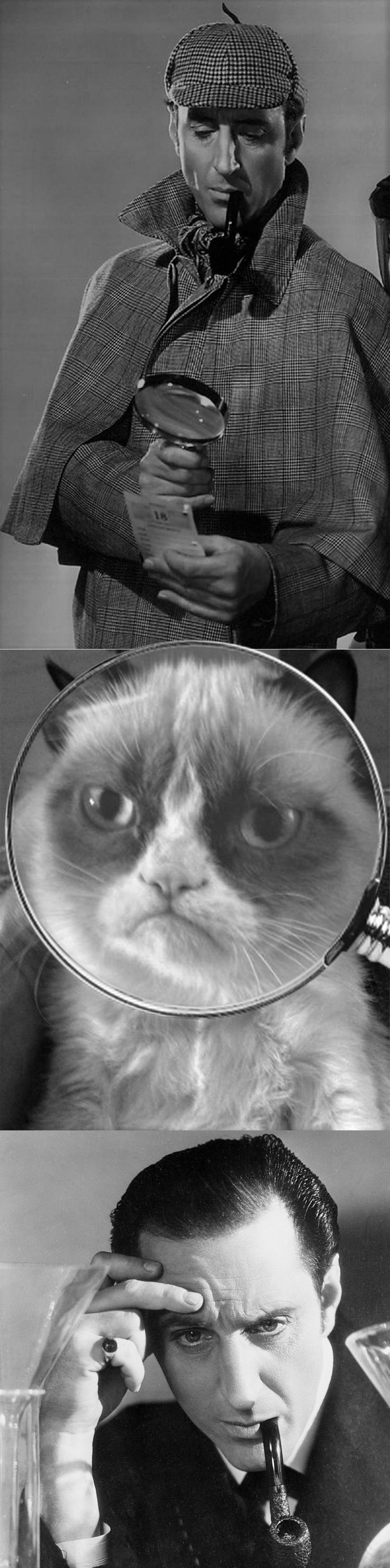 Grumpy Cat VS. Sherlock Blank Meme Template