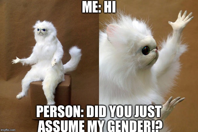 Persian Cat Room Guardian | ME: HI; PERSON: DID YOU JUST ASSUME MY GENDER!? | image tagged in memes,persian cat room guardian | made w/ Imgflip meme maker