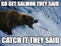 GO GET SALMON THEY SAID; CATCH IT THEY SAID | image tagged in they said | made w/ Imgflip meme maker