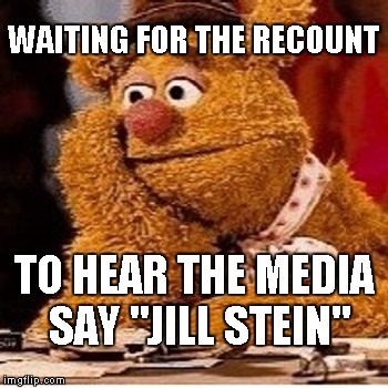 Crack Reporter |  WAITING FOR THE RECOUNT; TO HEAR THE MEDIA SAY "JILL STEIN" | image tagged in recount,jill stein,fozzie bear,reporter | made w/ Imgflip meme maker