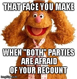 Recount Bear Face | THAT FACE YOU MAKE; WHEN "BOTH" PARTIES ARE AFRAID OF YOUR RECOUNT | image tagged in fozzie bear,recount,jill stein,hillary clinton,donald trump | made w/ Imgflip meme maker