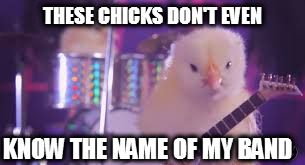 THESE CHICKS DON'T EVEN; KNOW THE NAME OF MY BAND | image tagged in chickss | made w/ Imgflip meme maker