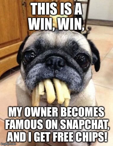 Pug Life | THIS IS A WIN, WIN, MY OWNER BECOMES FAMOUS ON SNAPCHAT, AND I GET FREE CHIPS! | image tagged in pug life | made w/ Imgflip meme maker