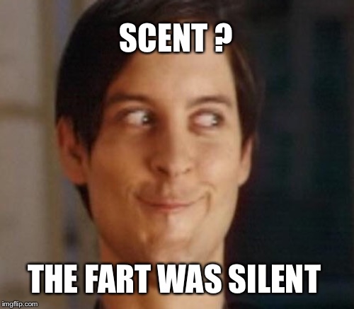 SCENT ? THE FART WAS SILENT | made w/ Imgflip meme maker