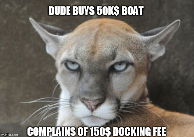 Annoyed Puma - docking fees | DUDE BUYS 50K$ BOAT; COMPLAINS OF 150$ DOCKING FEE | image tagged in annoyed puma | made w/ Imgflip meme maker
