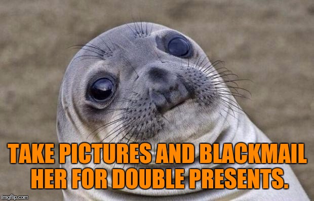 Awkward Moment Sealion Meme | TAKE PICTURES AND BLACKMAIL HER FOR DOUBLE PRESENTS. | image tagged in memes,awkward moment sealion | made w/ Imgflip meme maker