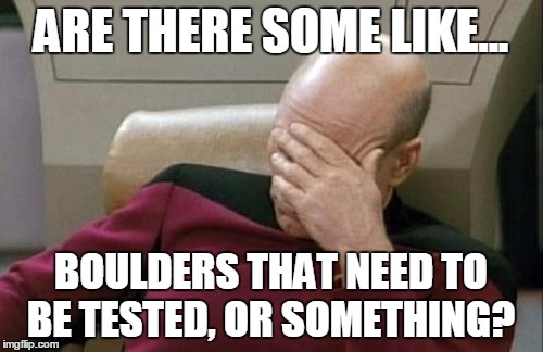 Captain Picard Facepalm Meme | ARE THERE SOME LIKE... BOULDERS THAT NEED TO BE TESTED, OR SOMETHING? | image tagged in memes,captain picard facepalm | made w/ Imgflip meme maker