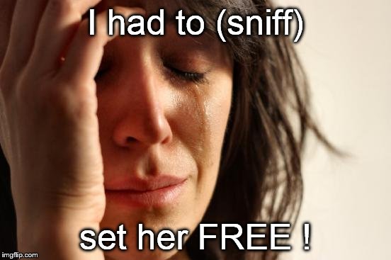 First World Problems Meme | I had to (sniff) set her FREE ! | image tagged in memes,first world problems | made w/ Imgflip meme maker